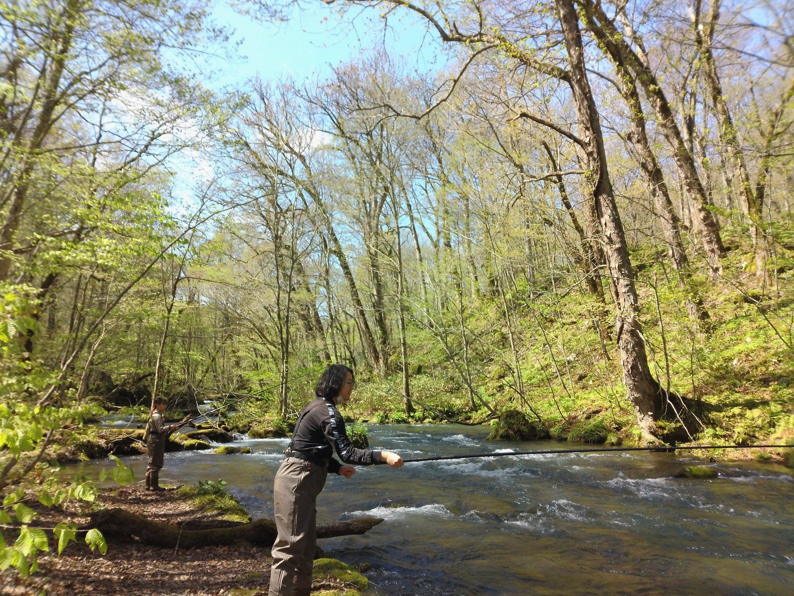 5月6日奥入瀬渓流ガイド日記 – 青森フィッシングガイド