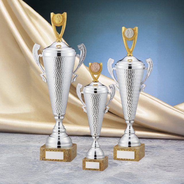 優勝カップ 金属製 59種目から選べる C-1045 Cサイズ
